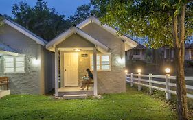 Ivy Cottage By Qiu